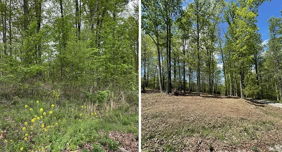 Section clearance Adelaide — vacant block before and after full vegetation removal